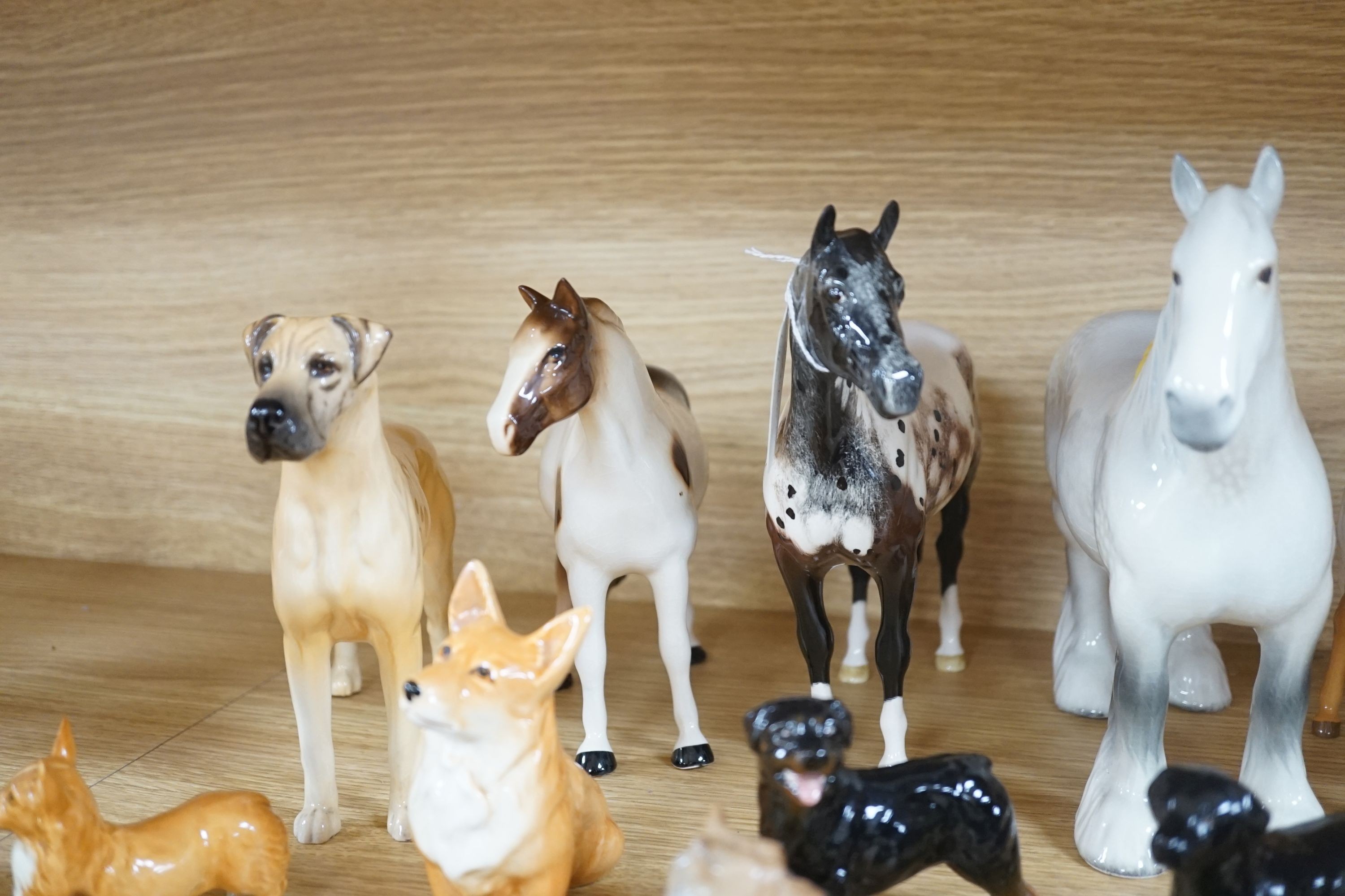 A large quantity of mixed Doulton, Beswick, dogs and horses, largest, Beswick shire horse 23cms high.